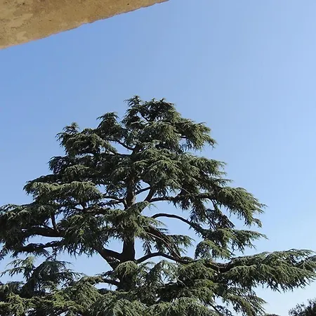 Le Domaine De Mestré, The Originals Relais Fontevraud-l'Abbaye