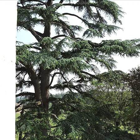 Le Domaine De Mestre, The Originals Relais فندق