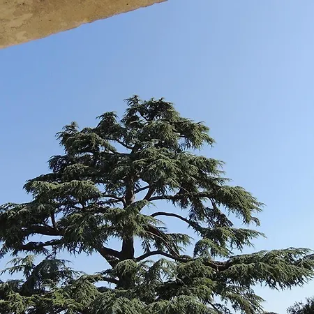 Hotell Le Domaine De Mestre, The Originals Relais