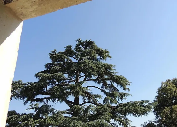 Le Domaine De Mestre, The Originals Relais Fontevrault-l'Abbaye